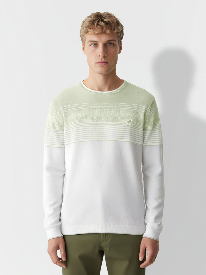 Olive Regular Fit Round Neck Men's Sweatshirt