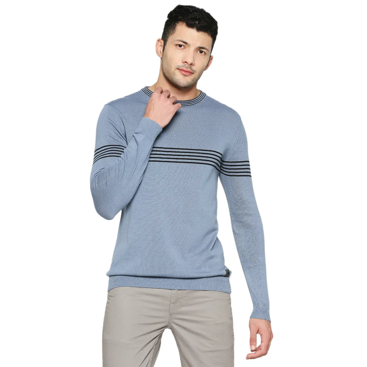 Blue Regular Fit Round Neck Long Sleeves Men's Sweatshirt