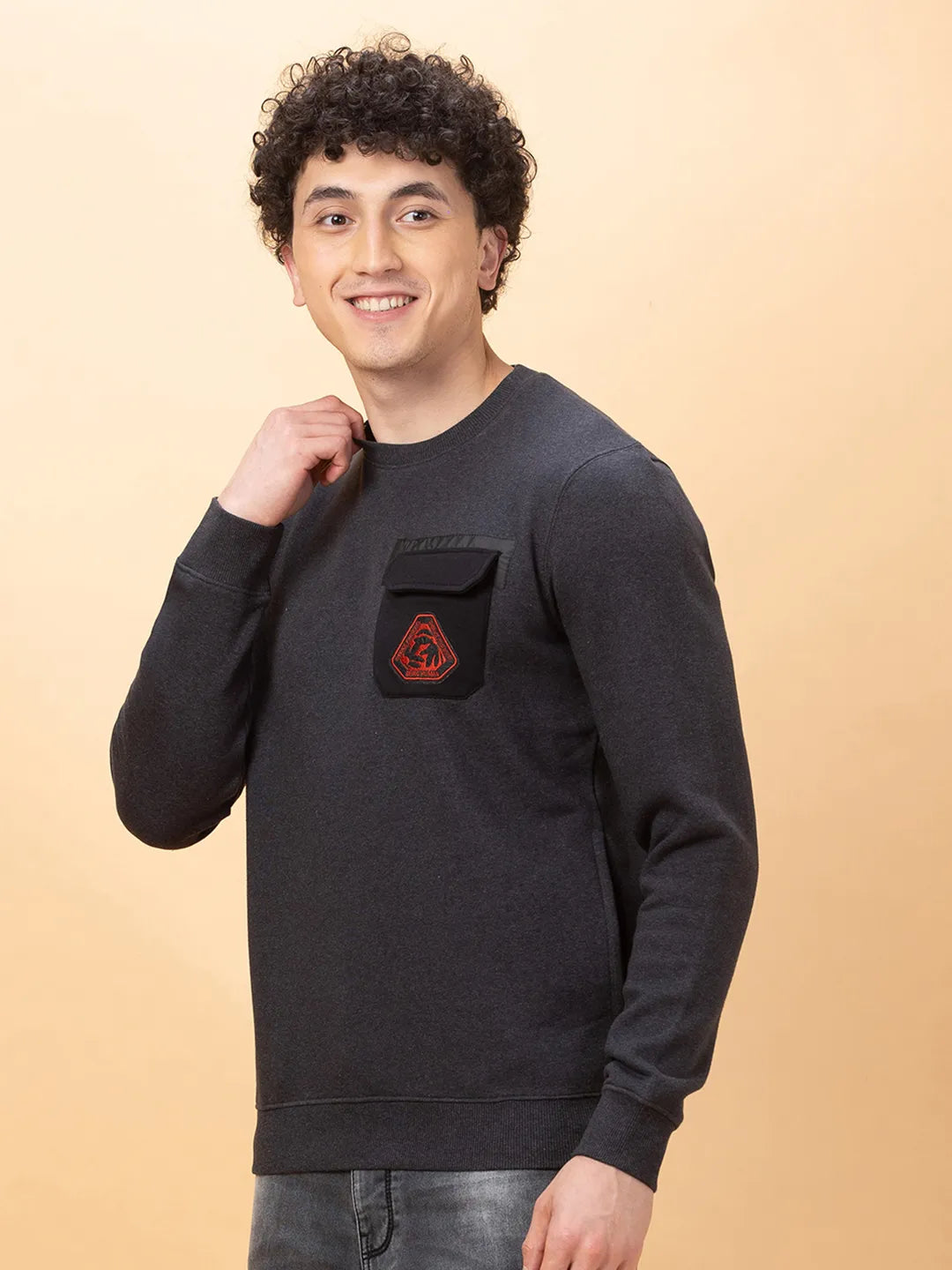 Being Human Clothing Mens-Top Sweatshirt Anthra Mel