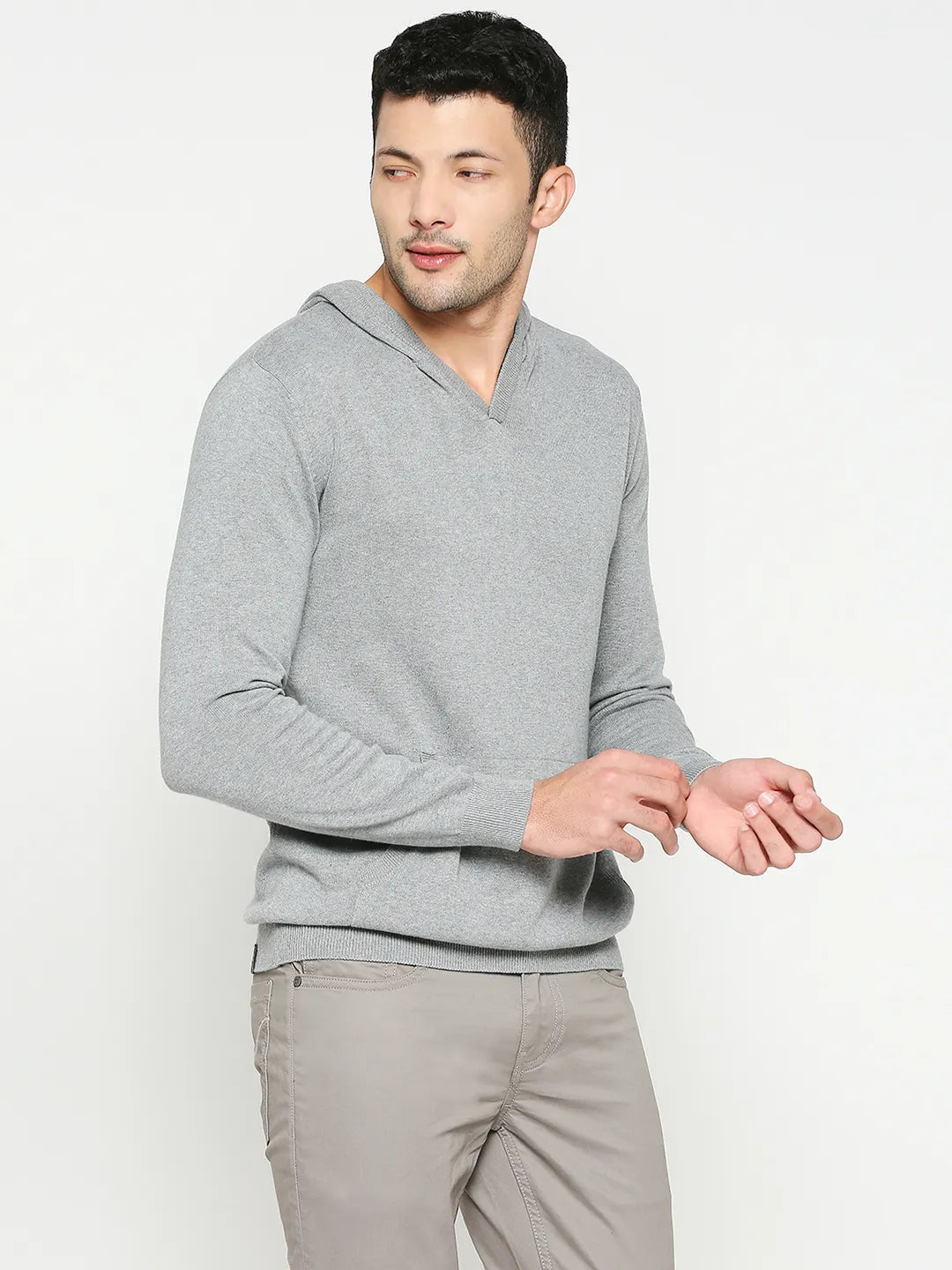 Being Human Clothing Men Regular Fit Hoody-Grey