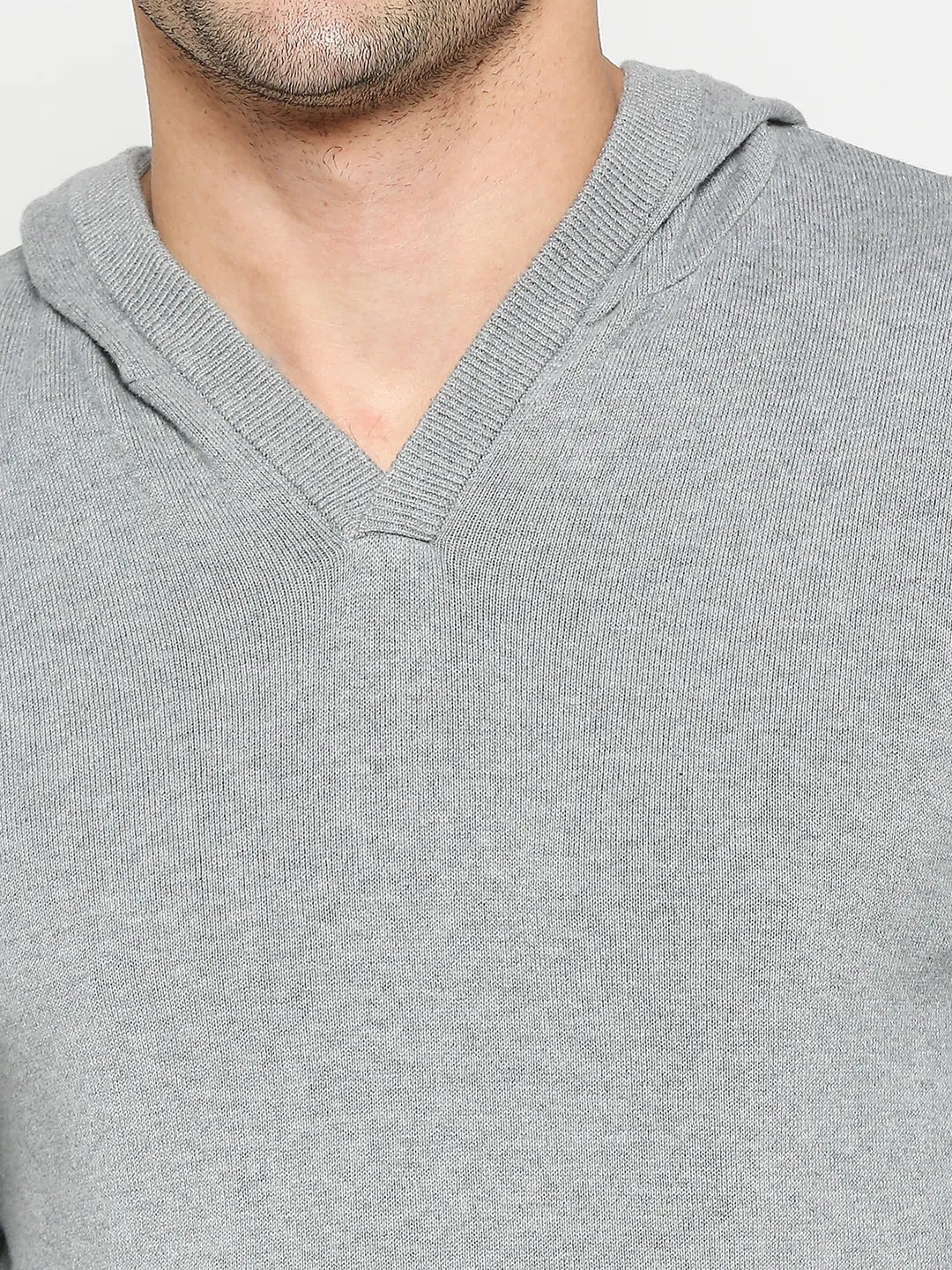 Being Human Clothing Men Regular Fit Hoody-Grey