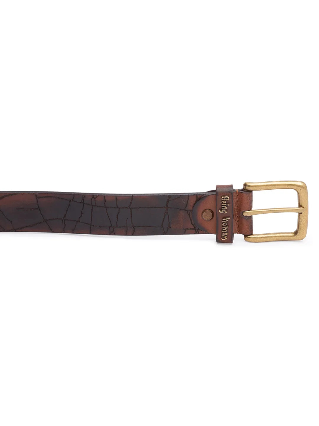 Tan Leather Men's Belt By Being Human Clothing