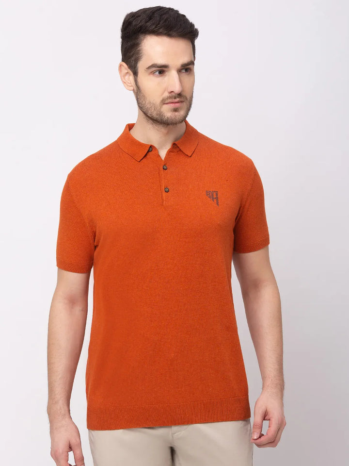 Brown Regular Fit Men's Polo T-Shirt
