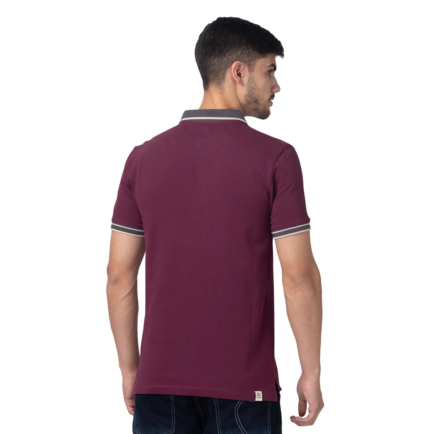 Being Human Clothing Men Regular Fit Polo Neck T-Shirts-Fig