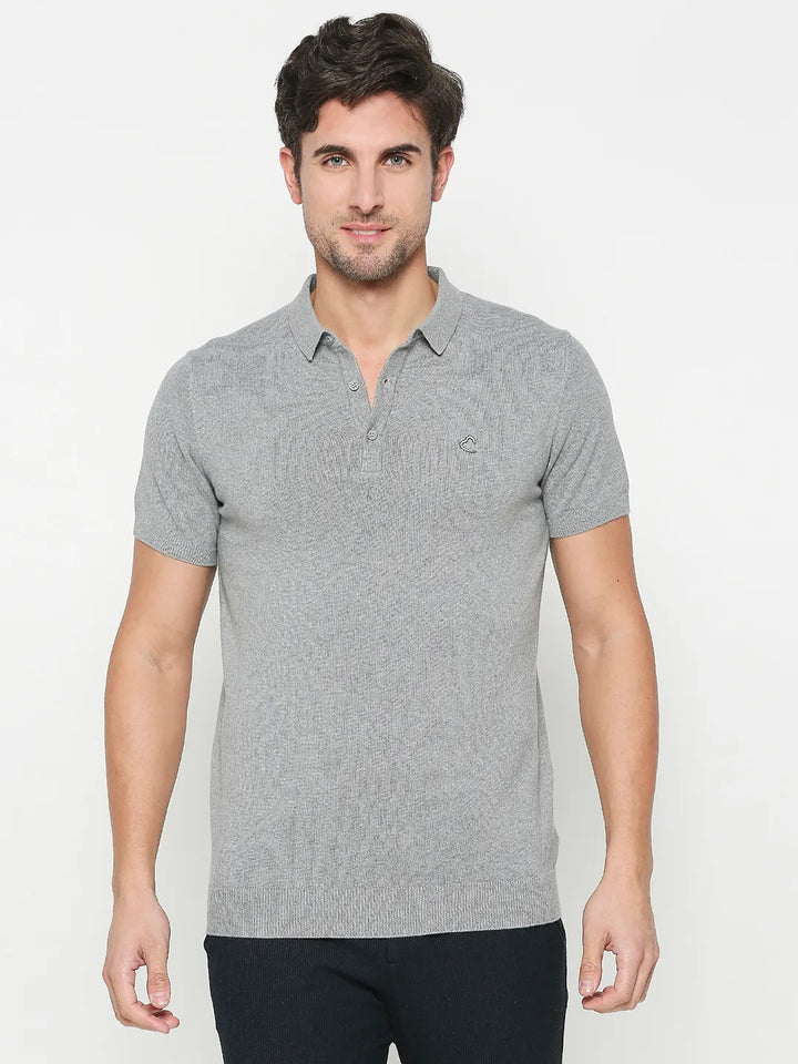Grey Regular Fit Men's Polo T-Shirt