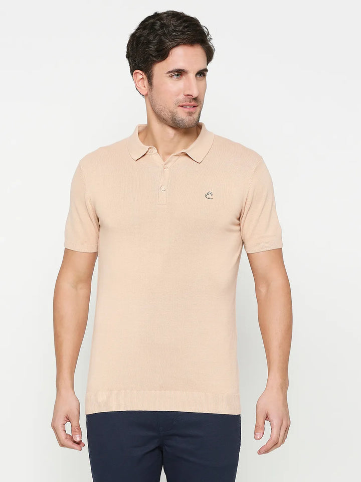 Brown Regular Fit Men's Polo T-shirt