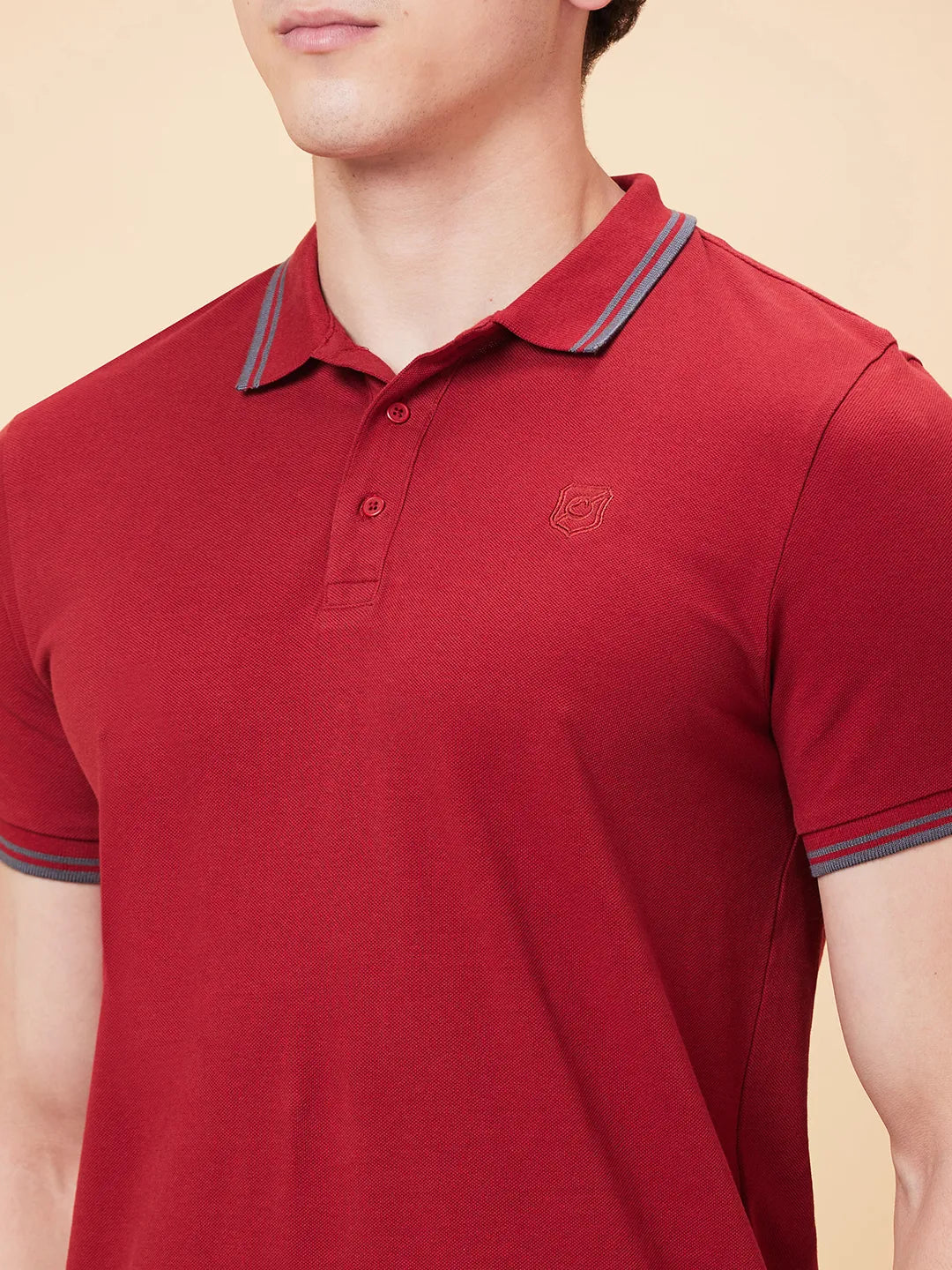 Being Human Clothing Men Regular Fit T-Shirts-Winery