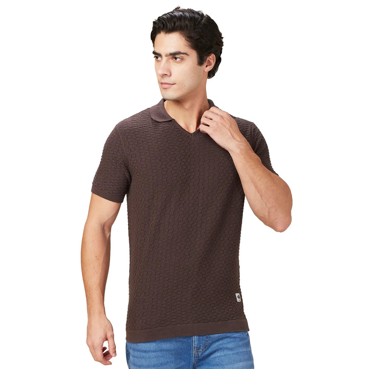 Brown Regular Fit Men's Polo T-Shirt