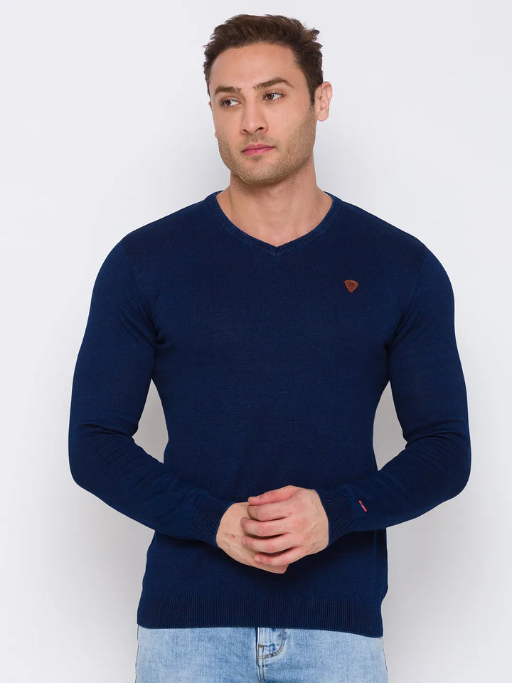 Blue Regular Fit V Neck Long Sleeves Cotton Men's Sweater