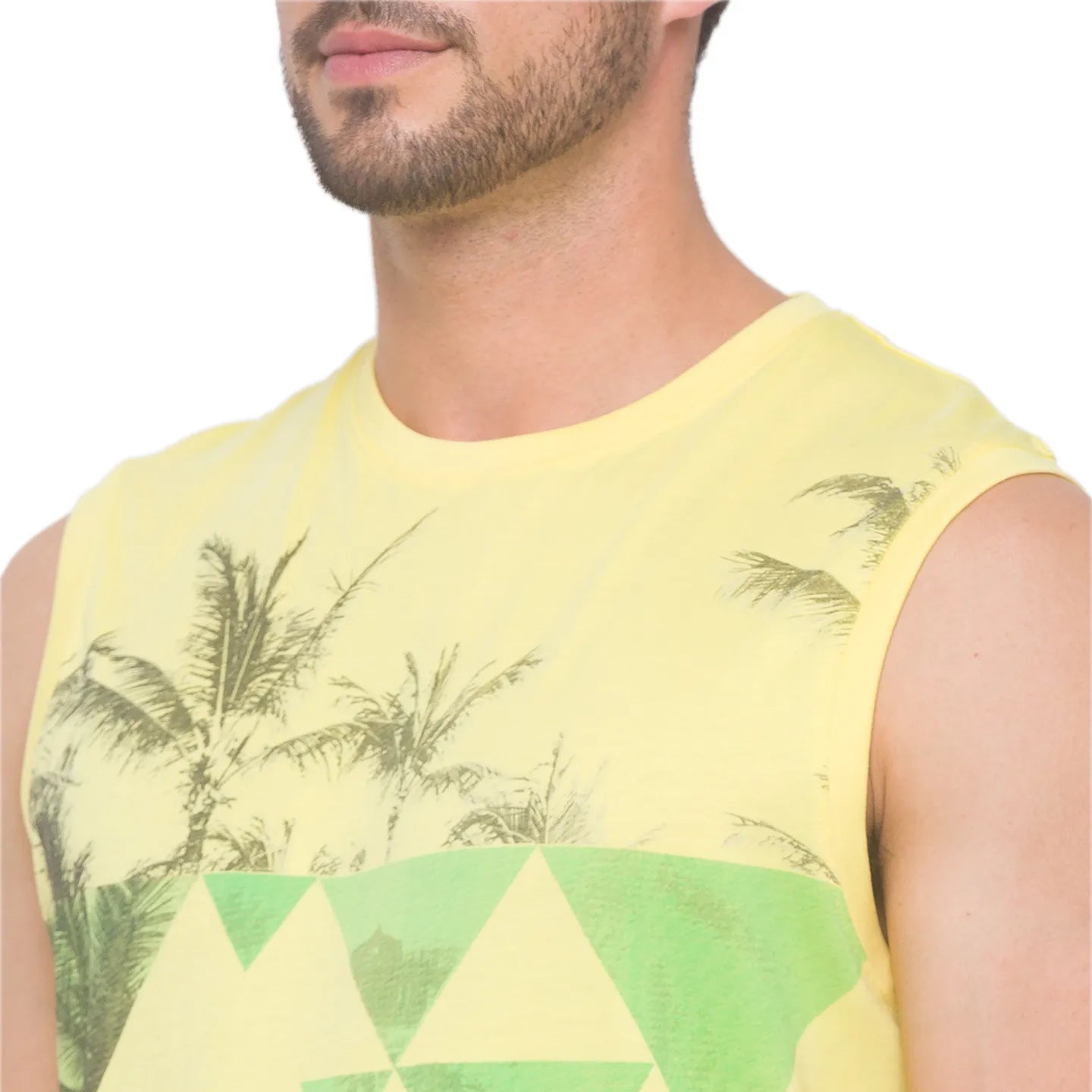 Being Human Clothing Men Regular Fit Crew Neck T-Shirts-Pale Yellow