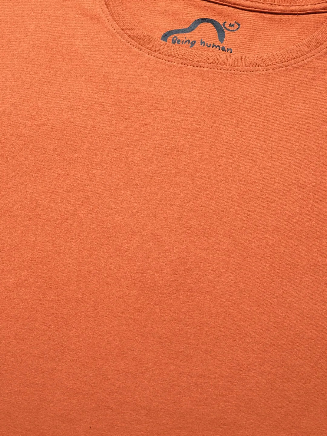 Brown Regular Fit Men's Short Sleeves T-Shirt by Being Human Clothing