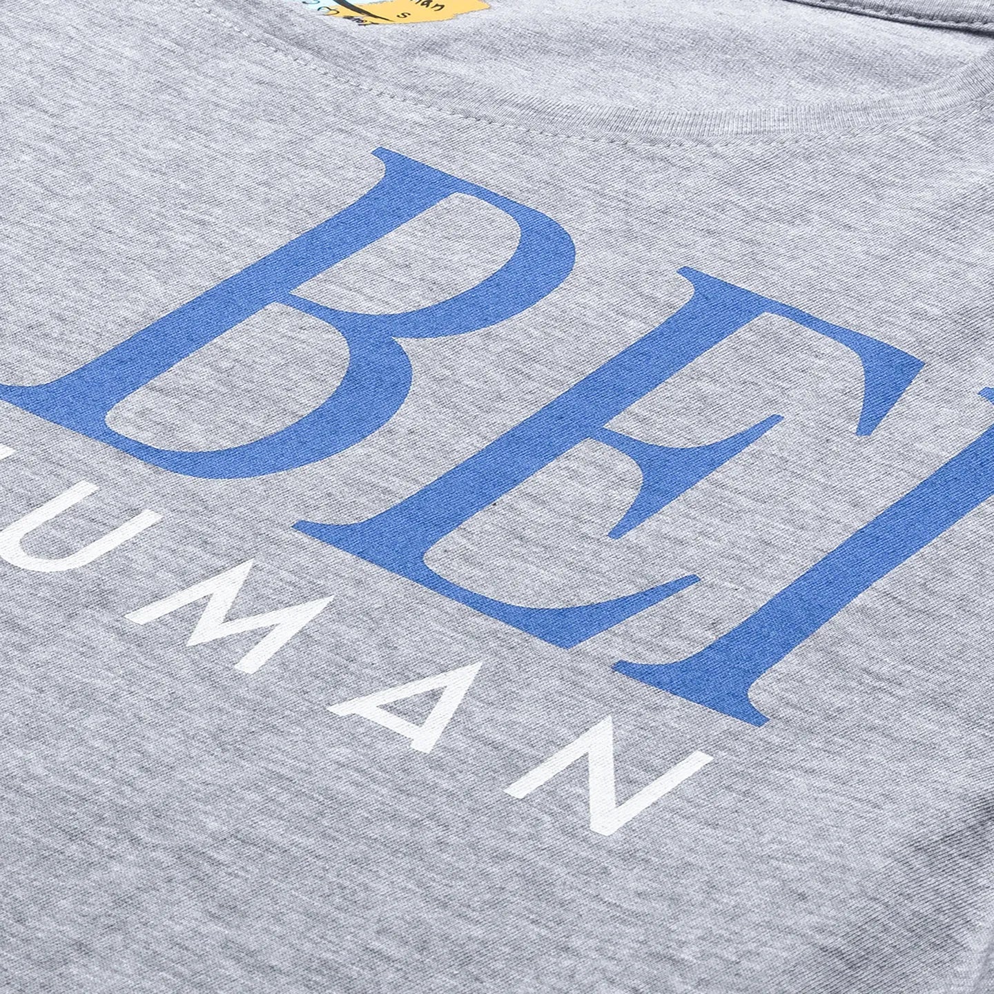 Being Human Clothing Women Boxy Crop Fit  Crew Neck T-Shirts-Grey Melange